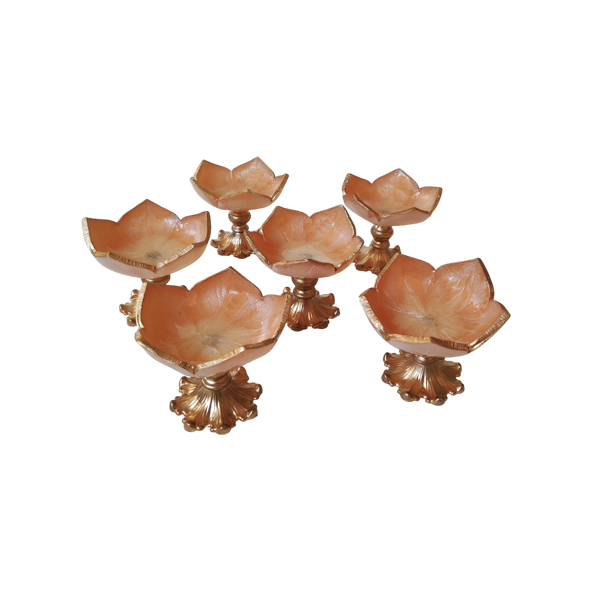 ---------2 پیاله-رزین